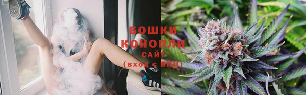 ECSTASY Новодвинск