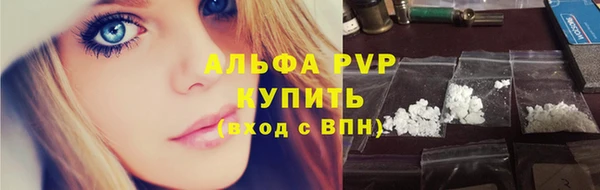 ECSTASY Новодвинск
