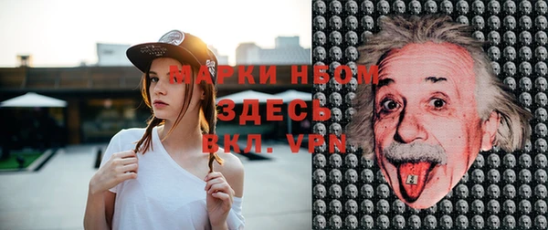 амф Анива