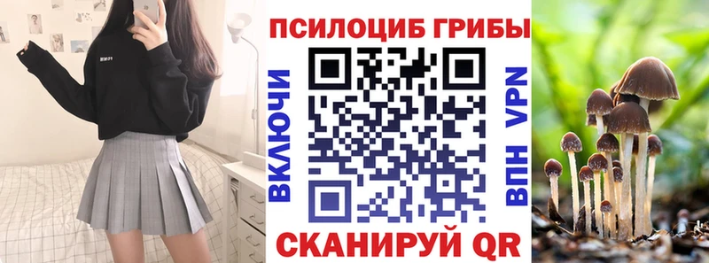 Галлюциногенные грибы Psilocybe  Починок 