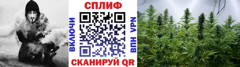 купить наркоту  Починок  Марихуана AK-47 